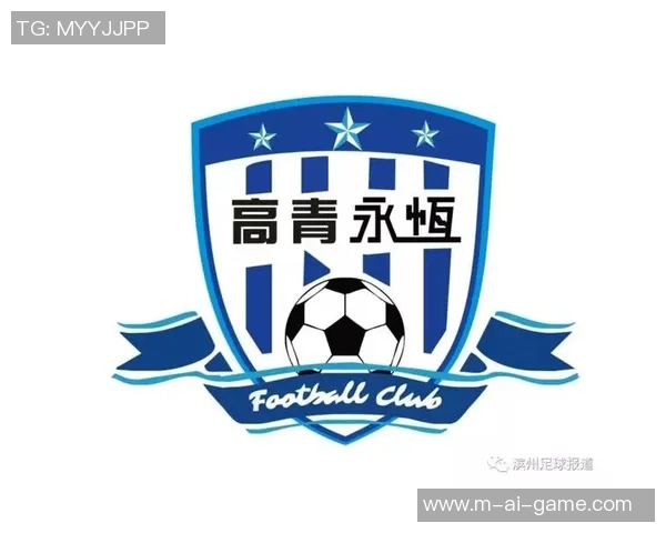 足球甲级联赛的定义及其在中国足球体系中的重要性解析